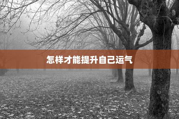 怎样才能提升自己运气