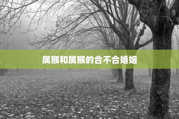 属猴和属猴的合不合婚姻