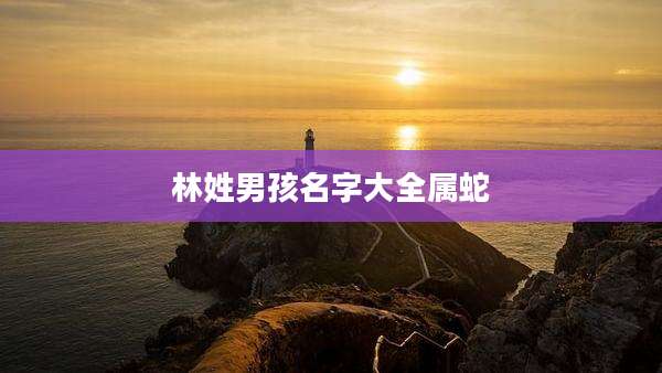 林姓男孩名字大全属蛇