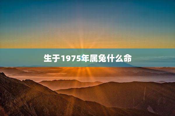 生于1975年属兔什么命