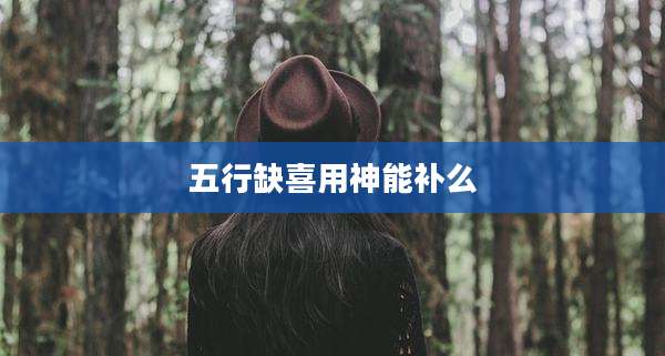 五行缺喜用神能补么
