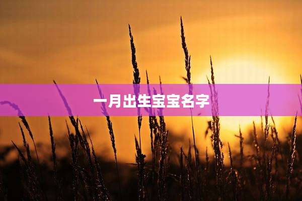 一月出生宝宝名字