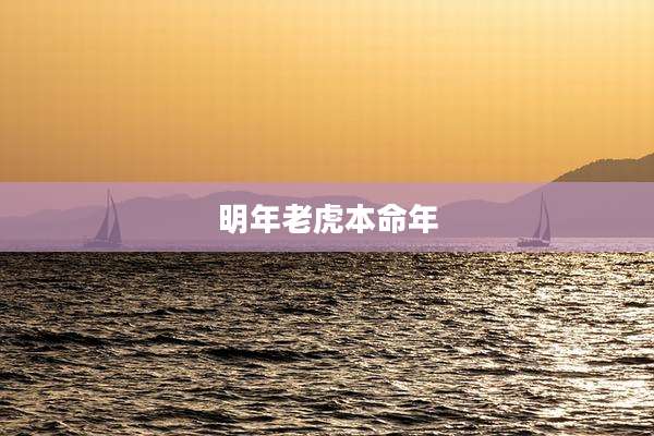明年老虎本命年
