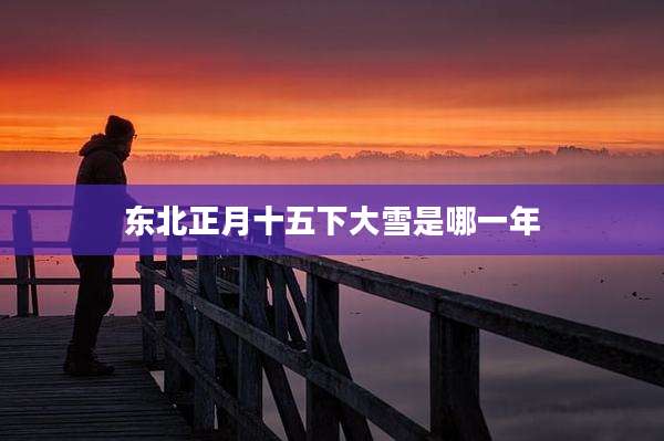 东北正月十五下大雪是哪一年