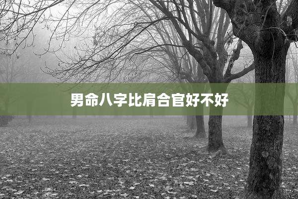 男命八字比肩合官好不好