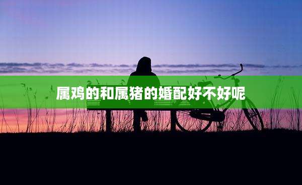 属鸡的和属猪的婚配好不好呢