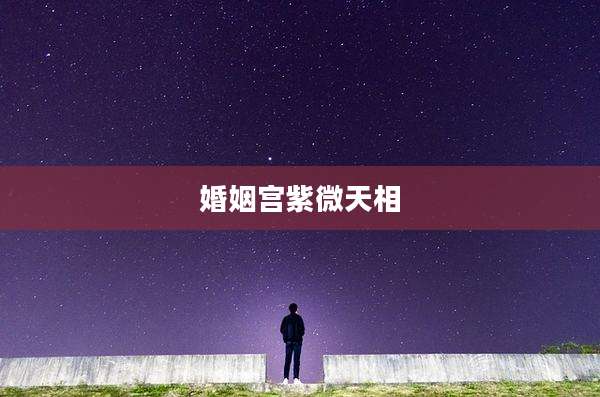 婚姻宫紫微天相