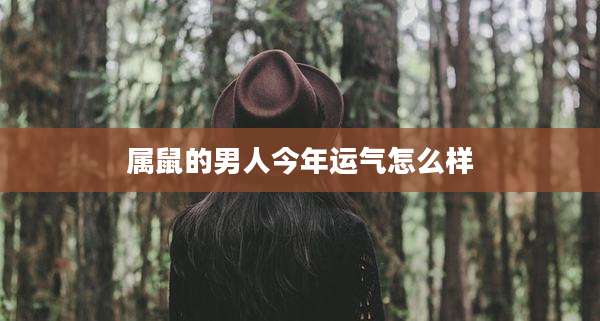 属鼠的男人今年运气怎么样