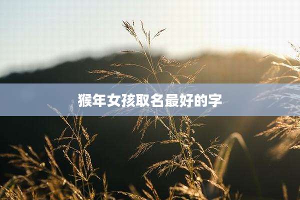 猴年女孩取名最好的字