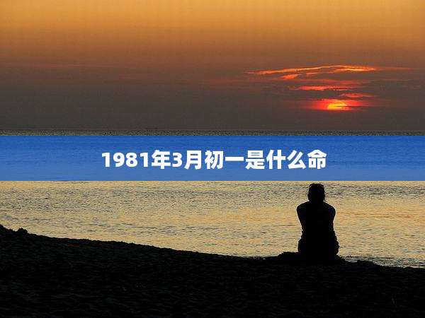 1981年3月初一是什么命