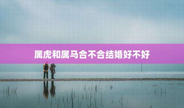 属虎和属马合不合结婚好不好