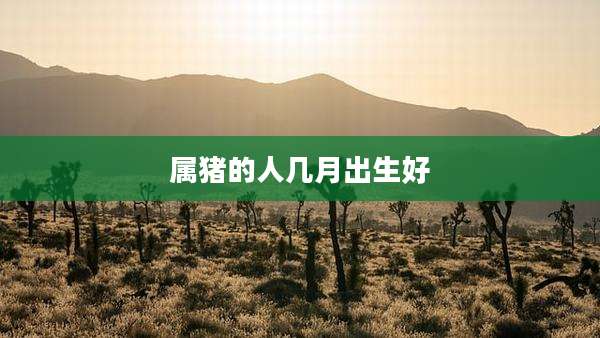 属猪的人几月出生好