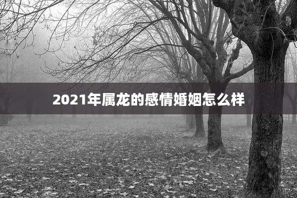 2021年属龙的感情婚姻怎么样