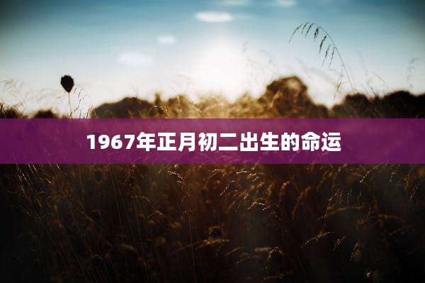 1967年正月初二出生的命运