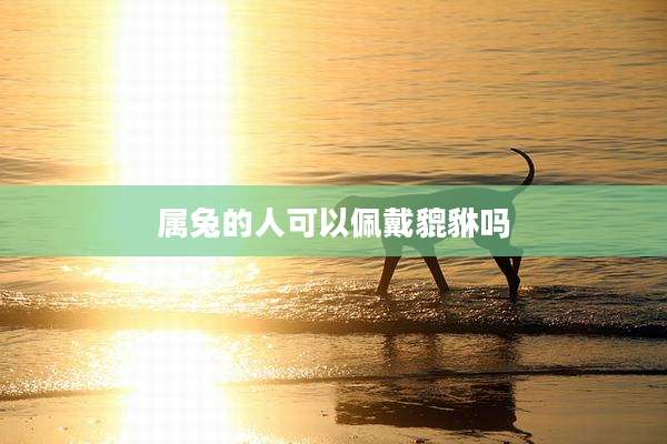 属兔的人可以佩戴貔貅吗