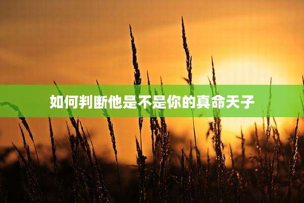 如何判断他是不是你的真命天子