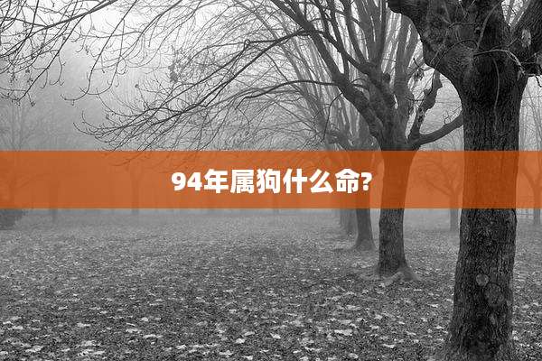 94年属狗什么命?