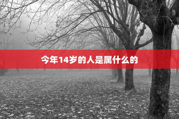 今年14岁的人是属什么的
