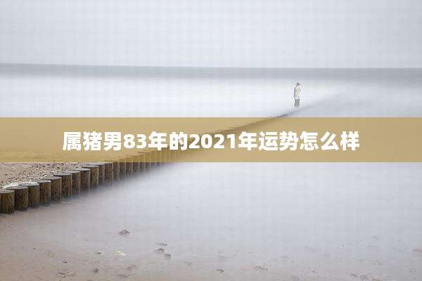 属猪男83年的2021年运势怎么样