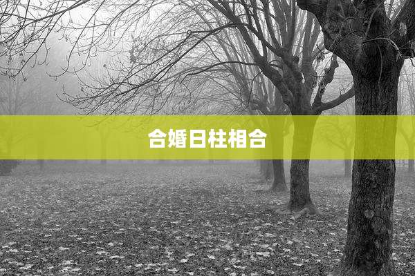 合婚日柱相合