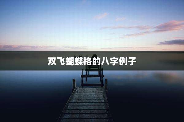 双飞蝴蝶格的八字例子