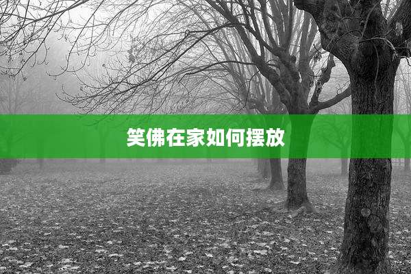 笑佛在家如何摆放