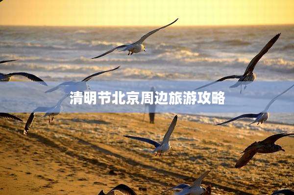 清明节北京周边旅游攻略