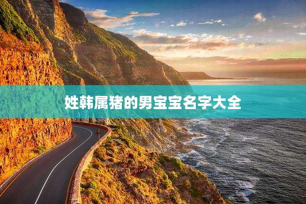 姓韩属猪的男宝宝名字大全
