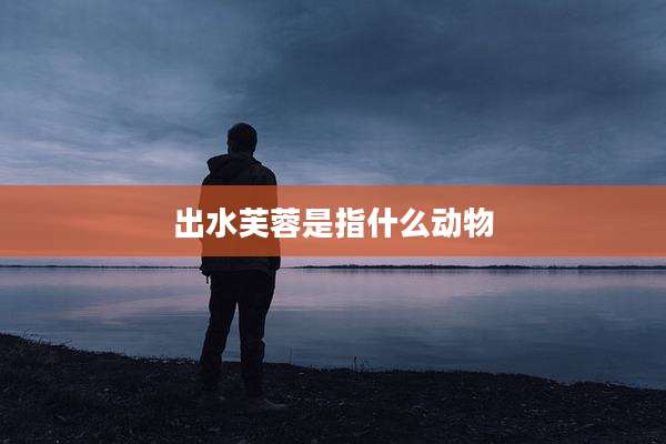 出水芙蓉是指什么动物