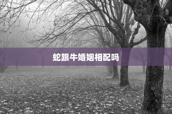 蛇跟牛婚姻相配吗