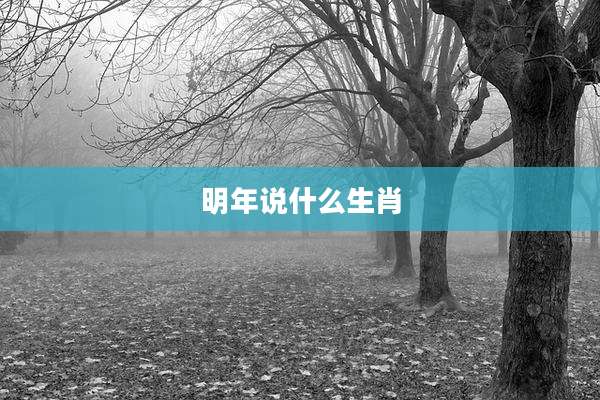 明年说什么生肖