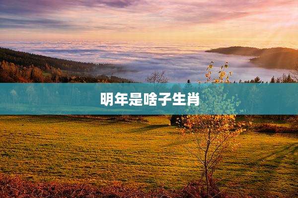 明年是啥子生肖