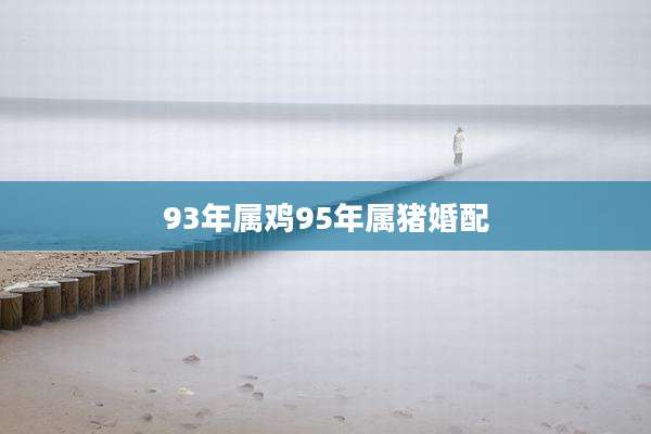 93年属鸡95年属猪婚配