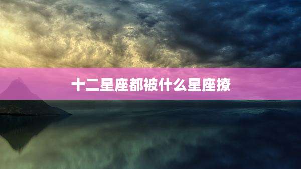 十二星座都被什么星座撩