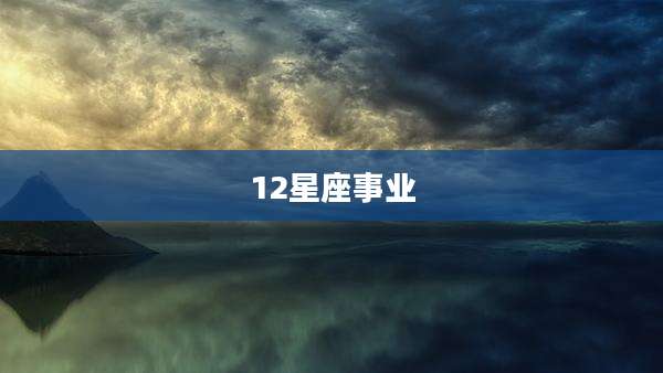 12星座事业