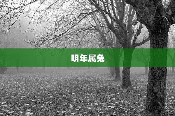 明年属兔