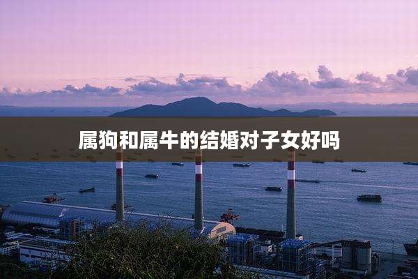 属狗和属牛的结婚对子女好吗