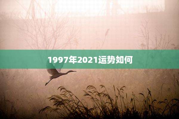 1997年2021运势如何