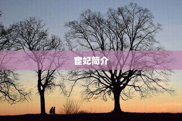 宦妃简介