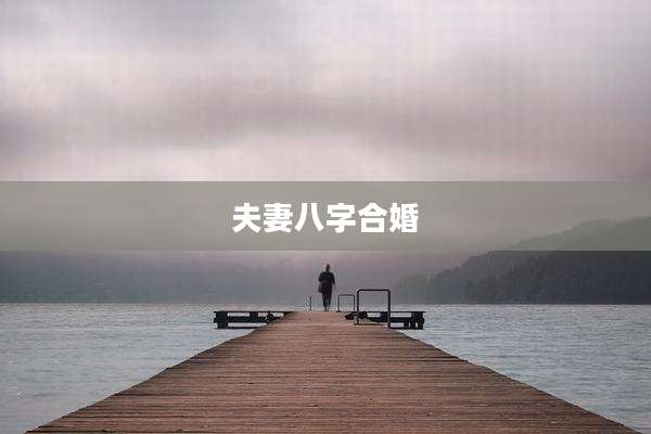 夫妻八字合婚