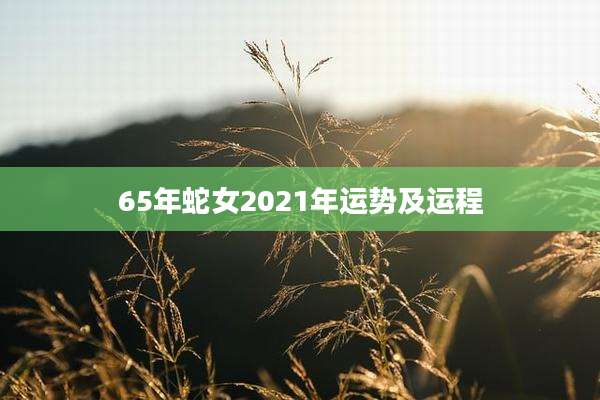 65年蛇女2021年运势及运程