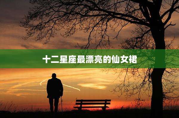 十二星座最漂亮的仙女裙