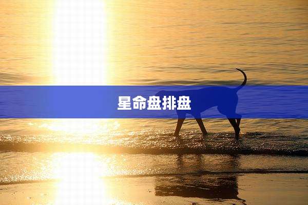 星命盘排盘