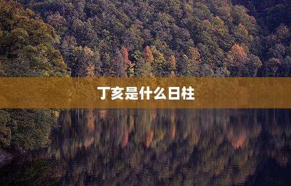 丁亥是什么日柱