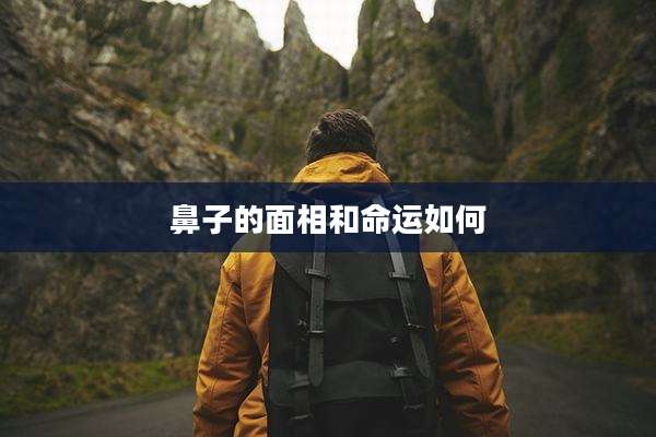 鼻子的面相和命运如何