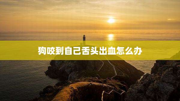 狗咬到自己舌头出血怎么办