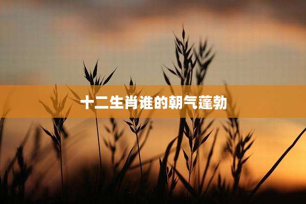 十二生肖谁的朝气蓬勃