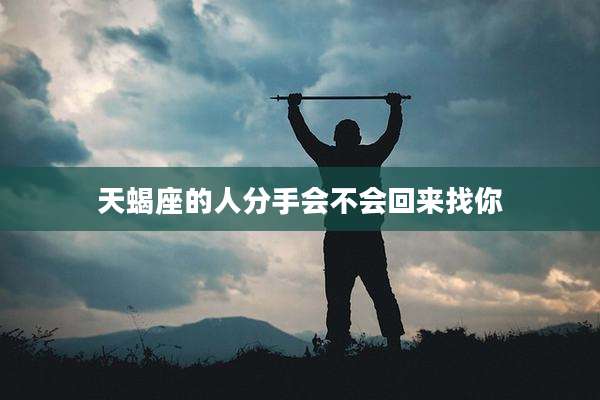 天蝎座的人分手会不会回来找你
