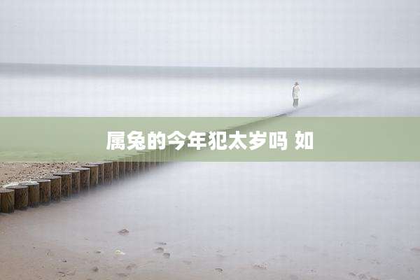 属兔的今年犯太岁吗 如