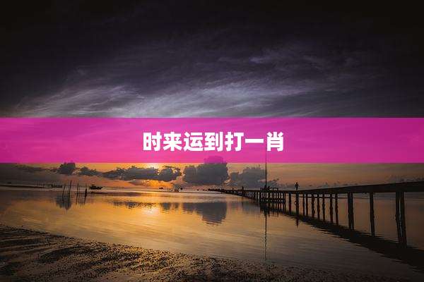 时来运到打一肖